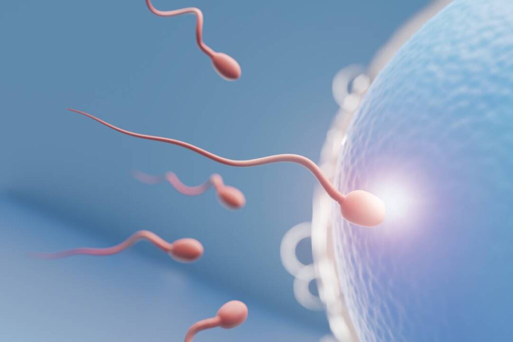Semen Analysis – What the Test Measures and Why Doctors Recommend It